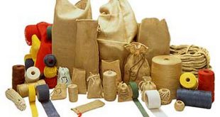 Jute+economi+mbd-5