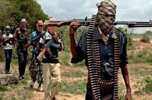 Niger+army+killed+bokoharam+mbd