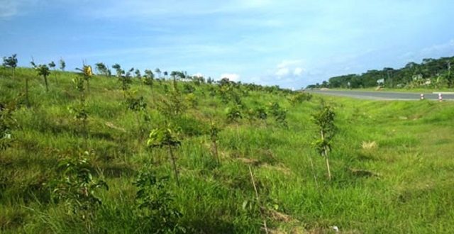 Padma+setu+side+mbd-২