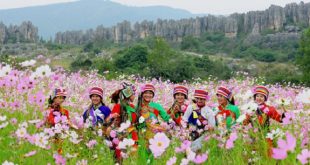 flower+city+kunming+mbd-6