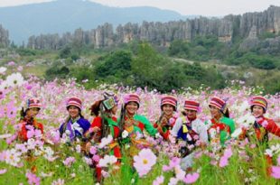 flower+city+kunming+mbd-6