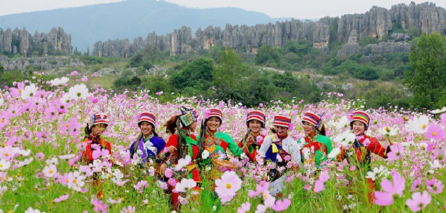 flower+city+kunming+mbd-6