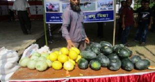 badu+habiganj+frute+mbd