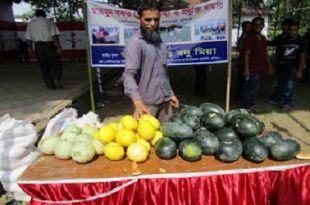 badu+habiganj+frute+mbd