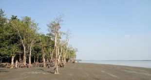 BARGUNA+tourist+Spot+mbd-5