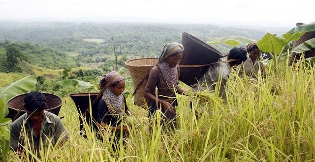 Bandarban+Joom+khet+mbd-mbd