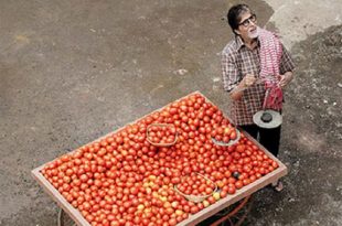 amitav+bachchan+actor+mbd