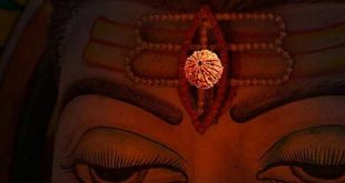 rudraksho+mbd-7