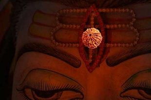 rudraksho+mbd-7