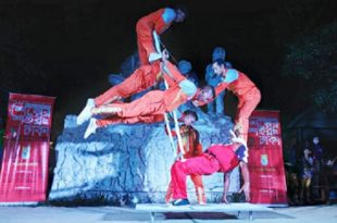 silpakala+acrobetic+mbd