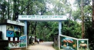 sylhet+ecopark+mbd-3