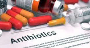 antibiotic+mbd
