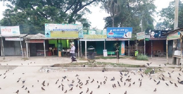 Jibannagar+Bird+mbd