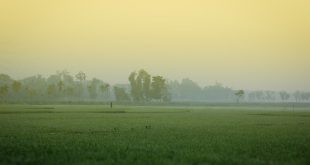 fog+mbd.jpg-2