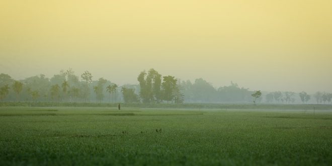 fog+mbd.jpg-2