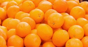 orange+mbd-5