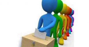 vote+mbd