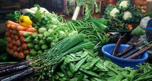 winter+vegetable+mbd-5