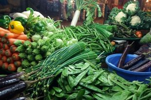 winter+vegetable+mbd-5