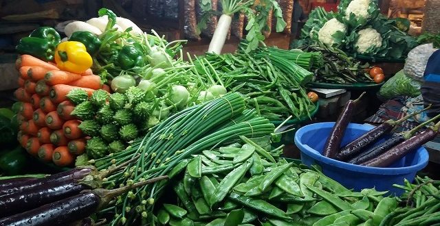 winter+vegetable+mbd-5