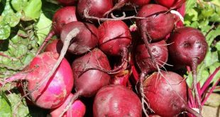 BEETROOT+JUICE+mbd-3