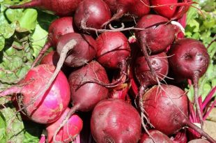 BEETROOT+JUICE+mbd-3