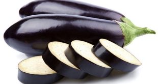 Brinjal+mbd-4