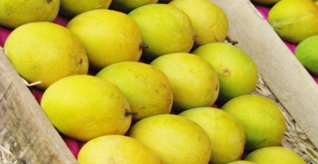 chanpai+nobabgonj+khirshapat+am+mbd-3