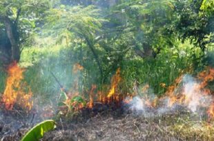 ফাইল ফটো