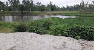 alai+river+mbd-3