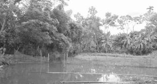 betay+river+mbd