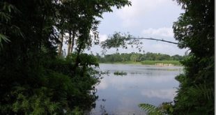 fulkumari+river+mbd