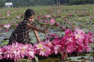 jal+komole+komolkonnya+hat+baria+roy+mbd-2