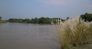 jhinai+river+mbd