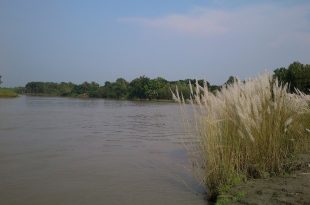 jhinai+river+mbd