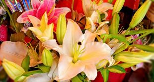 lili+flower+mbd