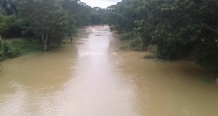 silonia+river+mbd-2