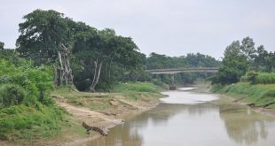 tulsi+river+mbd