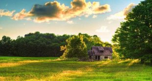 bd+nature+mbd-18-6