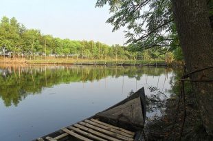 mukteshywri+river+mbd