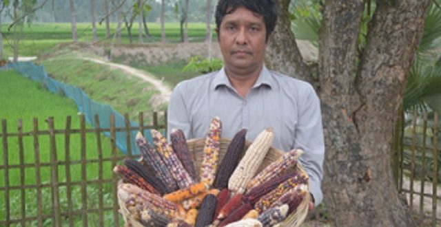 Nilphamari+agriculture+mbd