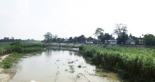 Shuk+River+mbd-ok