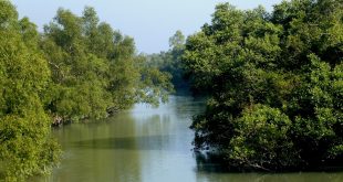 Sundarban+mbd-ok