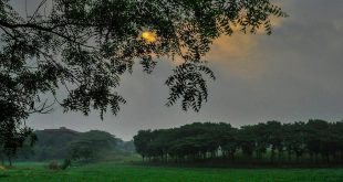 bd+nature+jbu+mbd-7