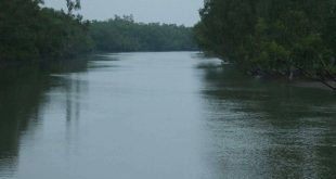 koaera+river+mbd-3