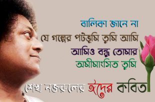 64266133_10220341024542095_6991586899617906688_n copy