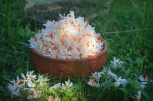 3d59a8588b025daed126d27fd5fce90a-58078adaac3a3