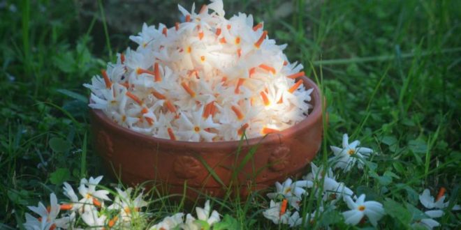 3d59a8588b025daed126d27fd5fce90a-58078adaac3a3