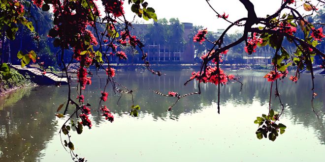 replicate-prediction-fmkustbb7loyrfccrmnvdalyyu