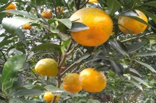 116e33f7-f67e-47b5-b2bd-804e72964020